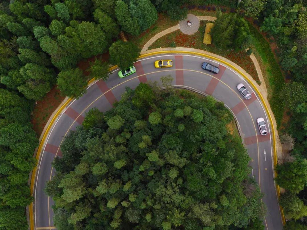 色彩與操控的雙重奏:深度體驗與眾06的“金標”內(nèi)涵