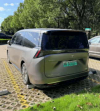 至境世家實車曝光!真龍插混+激光雷達,網友:就看價格了