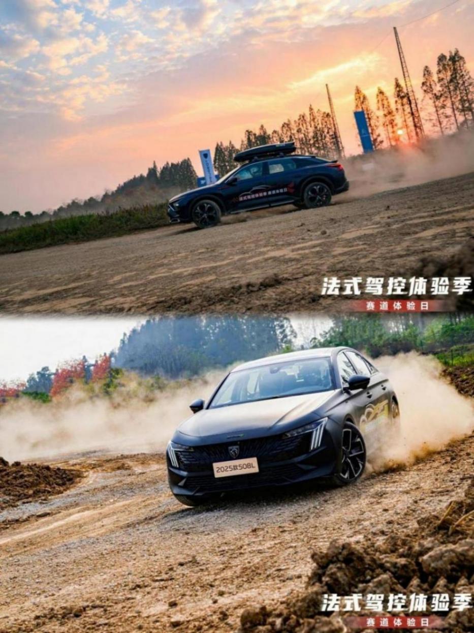 馳騁賽道 感受法式駕趣 神龍汽車賽道體驗(yàn)日完美落幕