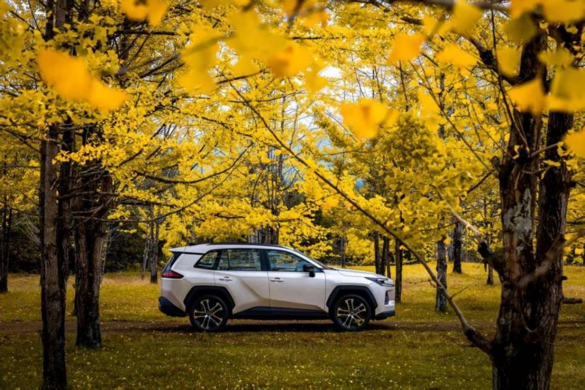 豐田史上最好油車!全新換代威蘭達,給你一個不買電車的理由