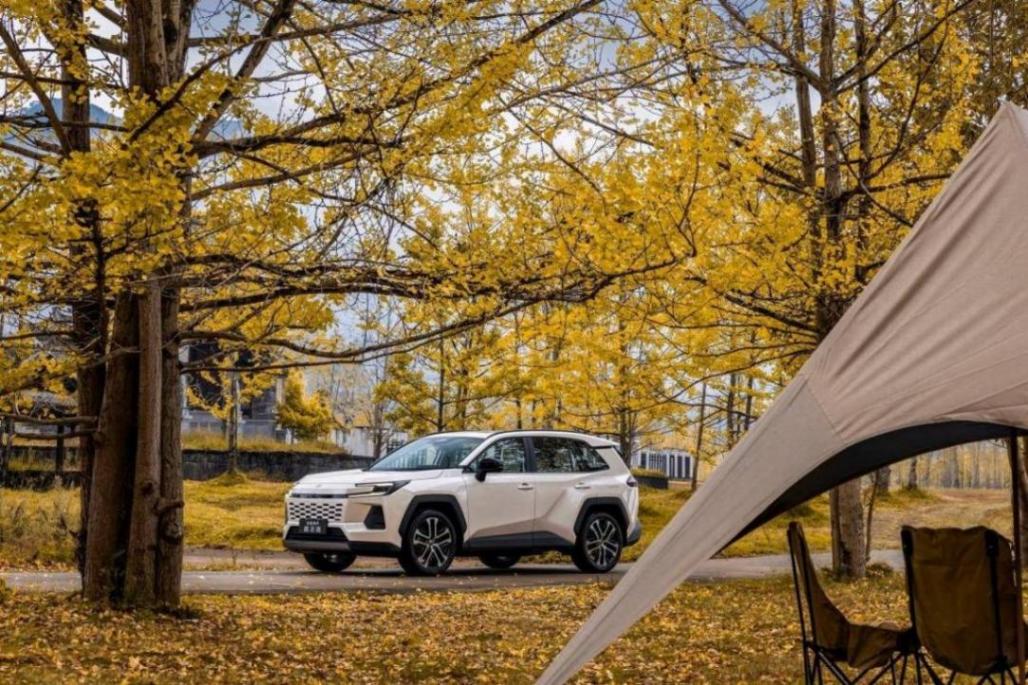 豐田史上最好油車!全新換代威蘭達,給你一個不買電車的理由